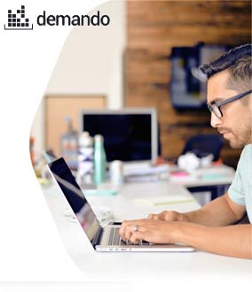 Demando project preview