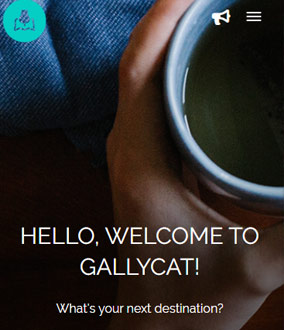 Gallycat project preview